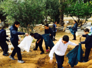  بالصور: طلاب مدرسة أجيال الابتدائية يقومون بمشروع لتنظيف مقبرة "طاسو" بيافا